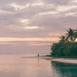 Ảnh đại diện người dùng Quang Huy